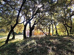Le Domaine Saint Martin