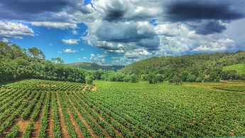 Le Domaine Saint Martin