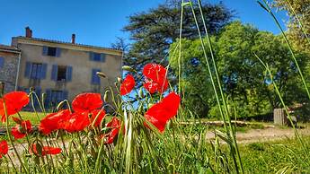 Le Domaine Saint Martin