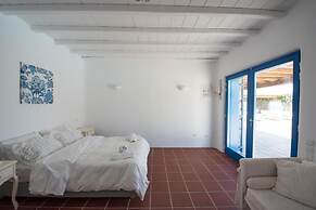Mykonian Private 2 Bd Villa with Pool