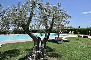 Residence with pool 4 km from Suvereto