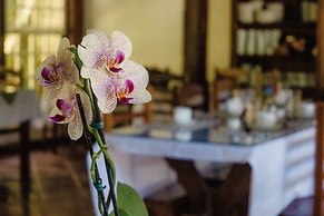 Pousada Serra Da Bocaina Paraty