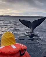 Departamento Caleta View