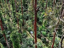 Nexstay Coffee Grove Resort