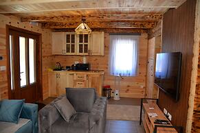 Zagrad Homes in Zabljak