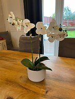 Beautiful 3-bed House in Romford