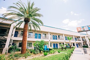 Palace Inn Blue I-45 & College Ave