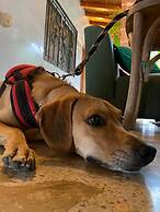 Selva Maria Hotel Boutique