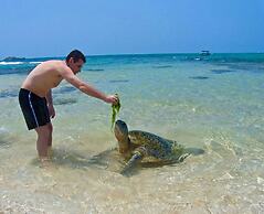 Green Villa & Soul Villa & Soul Cabana