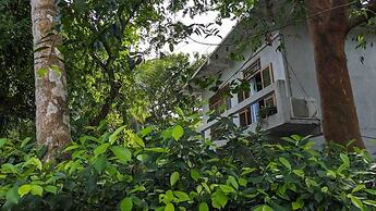 Green Villa & Soul Villa & Soul Cabana