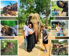 Green Villa & Soul Villa & Soul Cabana