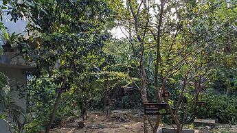 Green Villa & Soul Villa & Soul Cabana