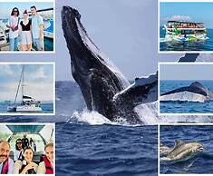 Green Villa & Soul Villa & Soul Cabana