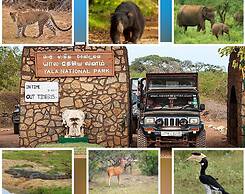 Green Villa & Soul Villa & Soul Cabana