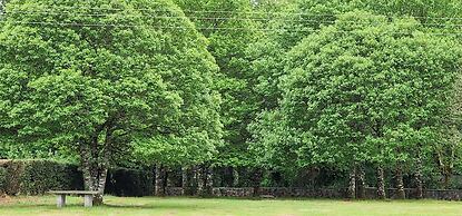 Finca La Cuevona de Guitiriz