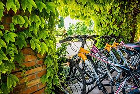 Tenuta Regina Agriturismo e Glamping