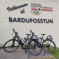 Bardufosstun