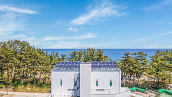 Samcheok Migaloo Pool Villa Pension