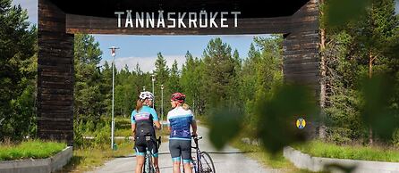 Tännäskröket