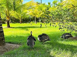 Maruwá - AP das Gordinhas