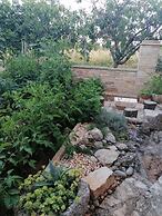 Anita - 100 m From the Beach - A1