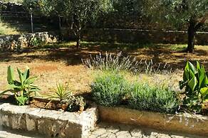 Garden - sea View - A1