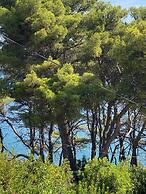 Dari - 120 m From sea - A1