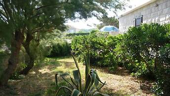 Rajko - 40 m From Beach - A3