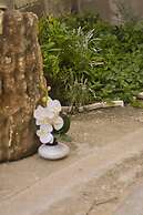 Rajko - 40 m From Beach - A3