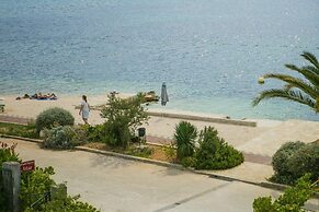 Arc - 5 M From Beach - A1 Green