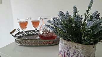 Gogi - Free Parking - A1