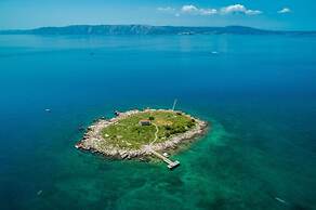 Gogi - Free Parking - A1