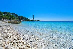 Zvone - at the Water Front - A1