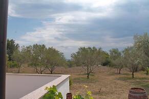 Snjeza - 80 m From Beach - A1 Studio