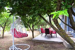Ivo - Free Parking & BBQ - A1