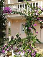 Ani - 250m From Beach - A1