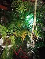 Casa Hostel Mosaicos DyA