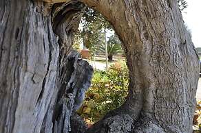 Delle Rose Hotel & Restaurant