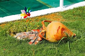 Kandybos Eco Farm Village