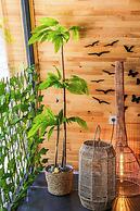 Kandybos Eco Farm Village