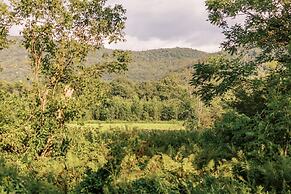 Battenkill Glamping Resort