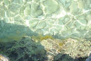 Room in Studio - Apartment Aniko Near the sea