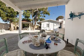 3716 Villetta White by Barbarhouse