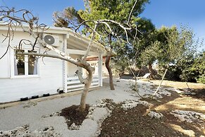 3716 Villetta White by Barbarhouse