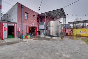 Comfy Kingsport Apartment - Walk to Brewery!