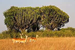 Euphorbia Safari Lodge