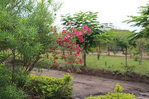 Euphorbia Safari Lodge
