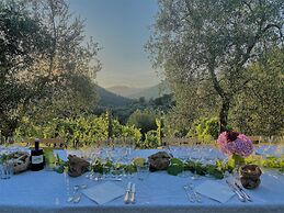 Tenuta di Tramonte