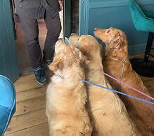 The Red Lion Blewbury