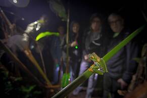 Hotel Pura Natura Beachfront Tortuguero